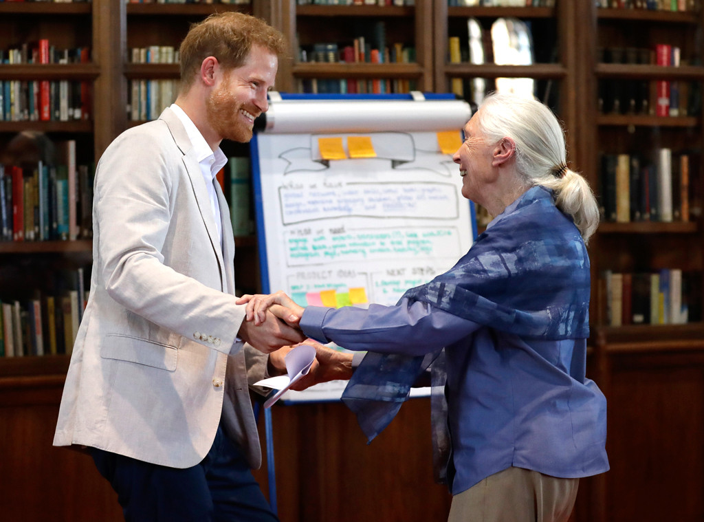 Prince Harry, Dr Jane Goodall Prince Harry, Dr Jane Goodall